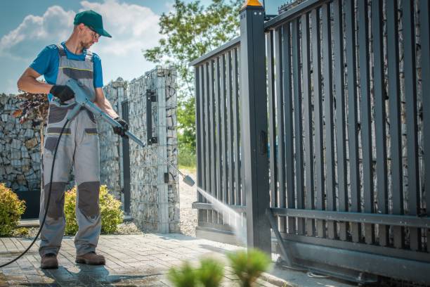 Best Driveway Cleaning and Restoration in Show Low, AZ