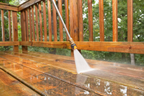 Best Soft Washing for Delicate Surfaces in Show Low, AZ